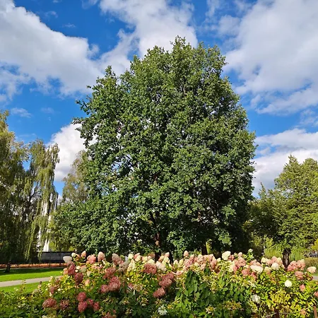 Elite Centre, Free Parking, Ultra-desirable 1 Of 1, Lux View Appartement *