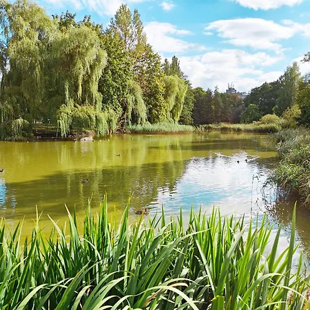 Elite Centre, Free Parking, Ultra-desirable 1 Of 1, Lux View