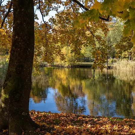 Elite Centre, Free Parking, Ultra-desirable 1 Of 1, Lux View *